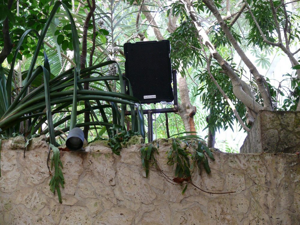 window world dallas photos dallas world aquarium exhibits rely on technomad loudspeakers foh window world dallas photos dallas world aquarium exhibits rely on technomad loudspeakers foh