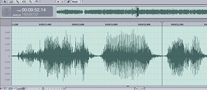 Fig. 1b: Waveform (amplitude vs. time) display from a Digital Audio Workstation.
