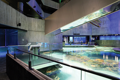 For the National Aquarium’s Blacktip Reef, a replicated Indo-Pacific reef ecosystem, Electrosonic worked with Nelson White Systems of Towson, MD to support the exhibit’s audio needs with a Q-Sys Core 500i Integrated System Platform, AcousticDesign Loudspeakers and CX Series Amplifiers.