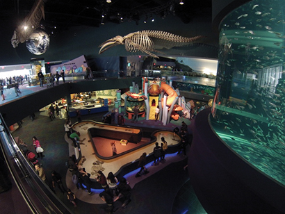 Toronto’s Ripley Aquarium Opens with QSC System