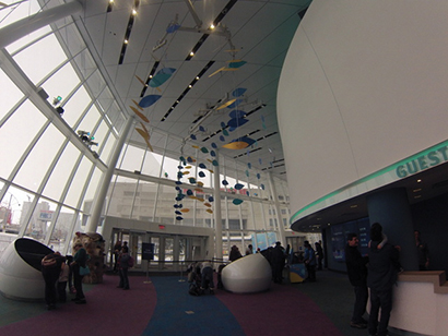 Toronto’s Ripley Aquarium Opens with QSC System