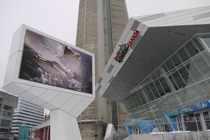Toronto’s Ripley Aquarium Opens with QSC System