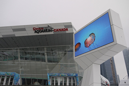 Toronto’s Ripley Aquarium Opens with QSC System