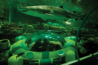 Toronto’s Ripley Aquarium Opens with QSC System