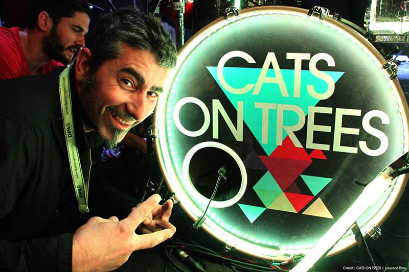 DPA Microphones dfacto Cats On Trees