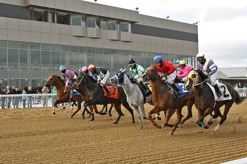 Hollywood Mahoning Valley