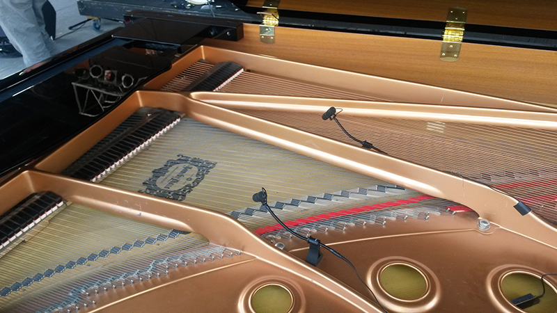 Monitor engineer Briand Parenteau  has been using DPA Microphones d:vote 4099 Instrument Mics for the piano used by Dr. John