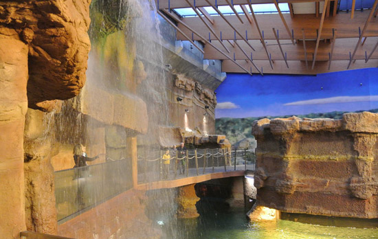 An Afrykarium Environment with Community Loudspeakers