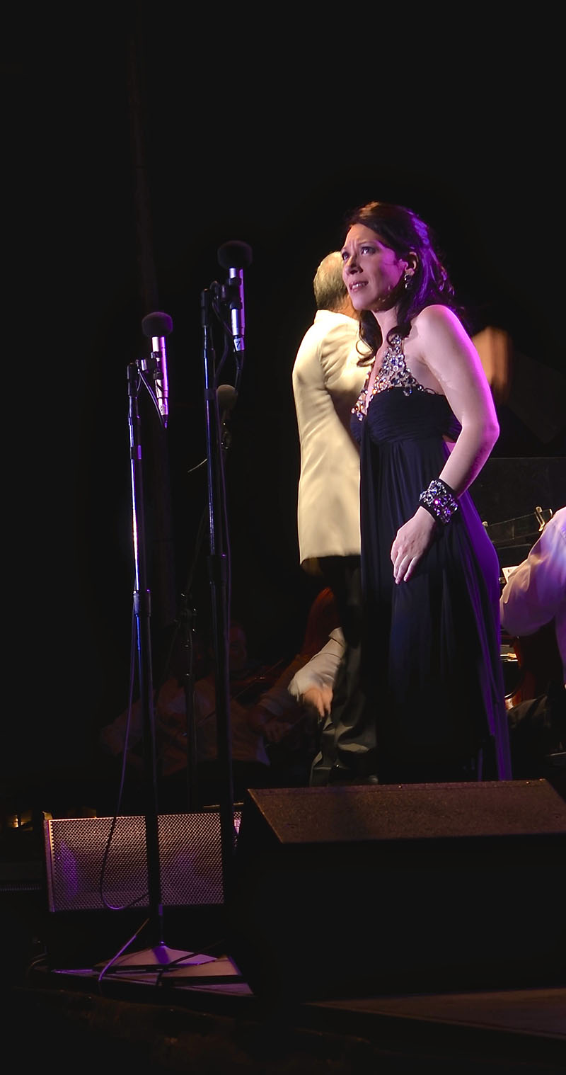 The 14th annual Opera in the Park event drew a record crowd of more than 15,000 to Madison’s Garner Park on July 25. The event got an audio assist from Full Compass Systems and Bag End. Pictured here, the mic and monitor setup. 
