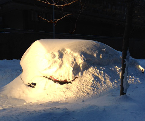 'Dude, where's my car?' Photo in NYC by Sarah Hammel