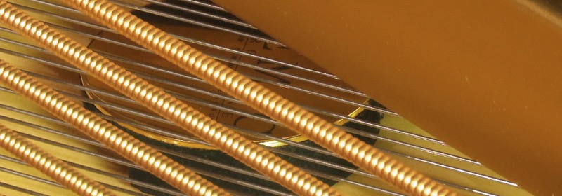 REMIC Grand Piano Microphone P6000