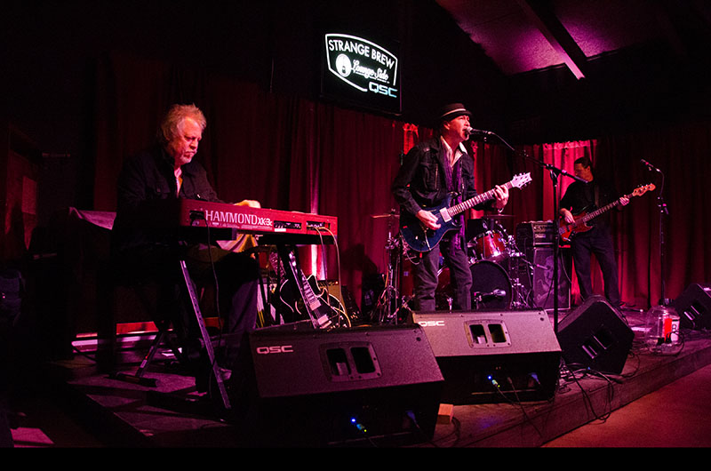 Strange Brew, Lounge Side in Austin won another Austin Music Award this year for its QSC sound system.