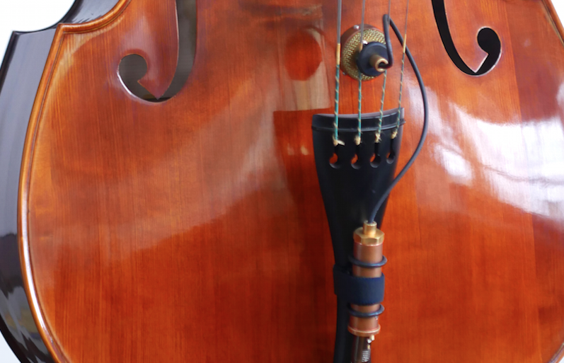 Ear Trump Labs' Nadine mic for upright bass.