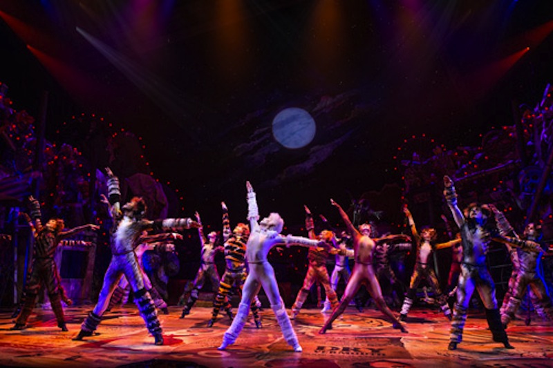 Company of CATS on Broadway. Photo: Matthew Murphy