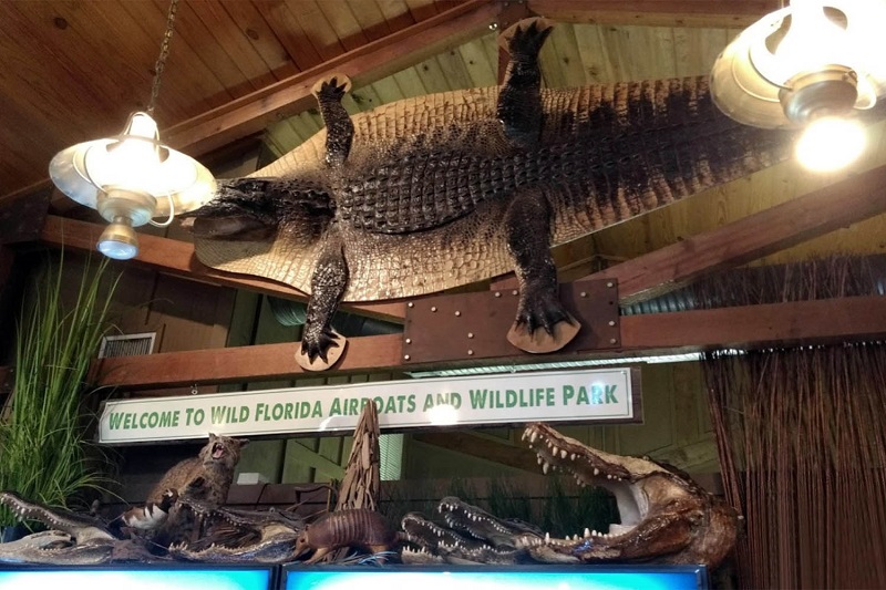 The gift shop at Wild Florida