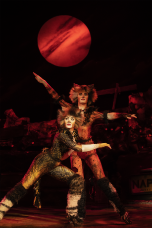 The Original Cats Musical Is Coming to Hungary As Part of Their World  Tour - The Theatre Times