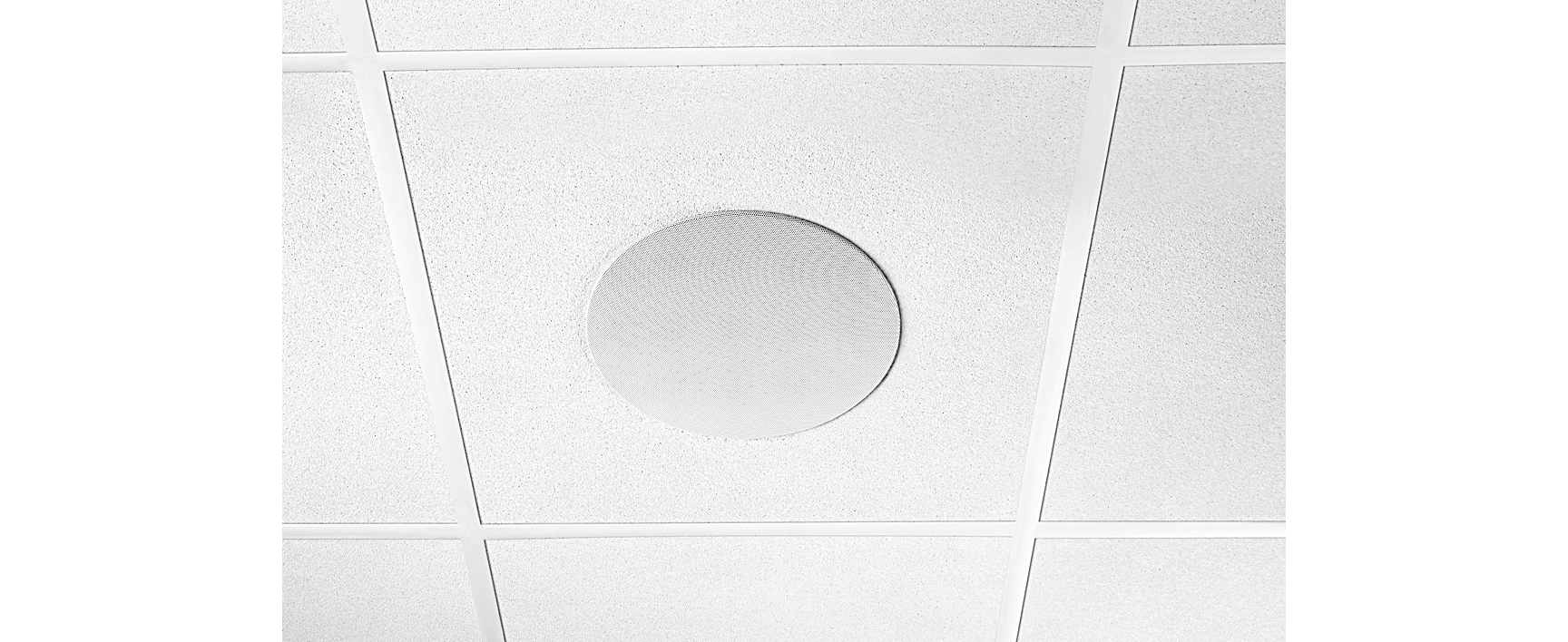 Shure Microflex MXN5-C Networked PoE Loudspeaker
