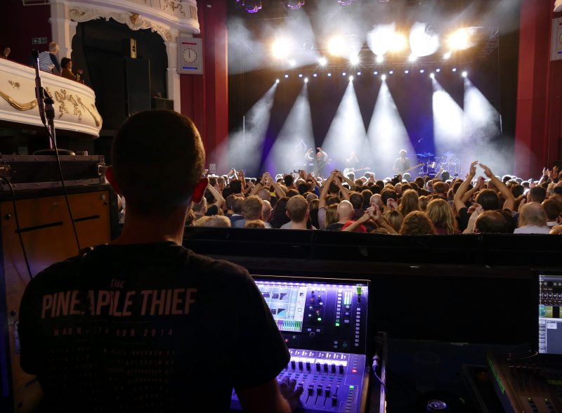 The Pineapple Thief ©James Cumpsty 2018