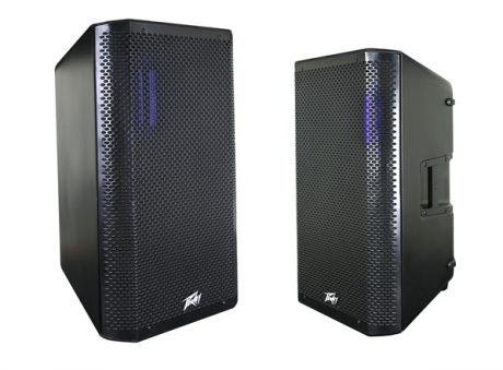 peavey rbn 115