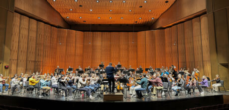 Front view of the orchestra reveals the opening in the shell that acted a a large acoustical slot for the reverberated sound. 